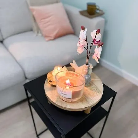 Wellness Met Sauna En Jacuzzi Appartement *