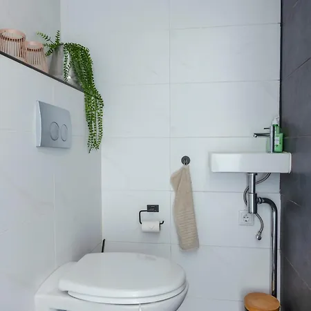 Wellness Met Sauna En Jacuzzi