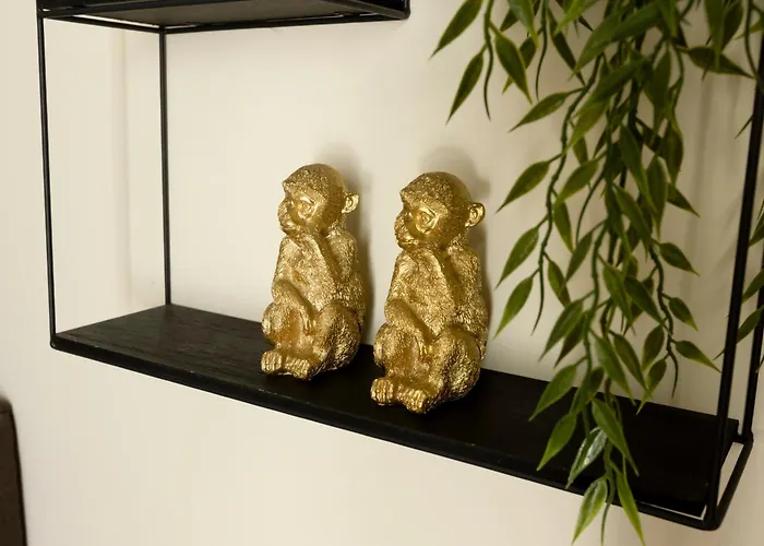 Wellness Met Sauna En Jacuzzi *